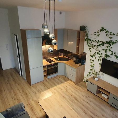 Apartament Green Loft Centrum Grudziądz Zewnętrze zdjęcie