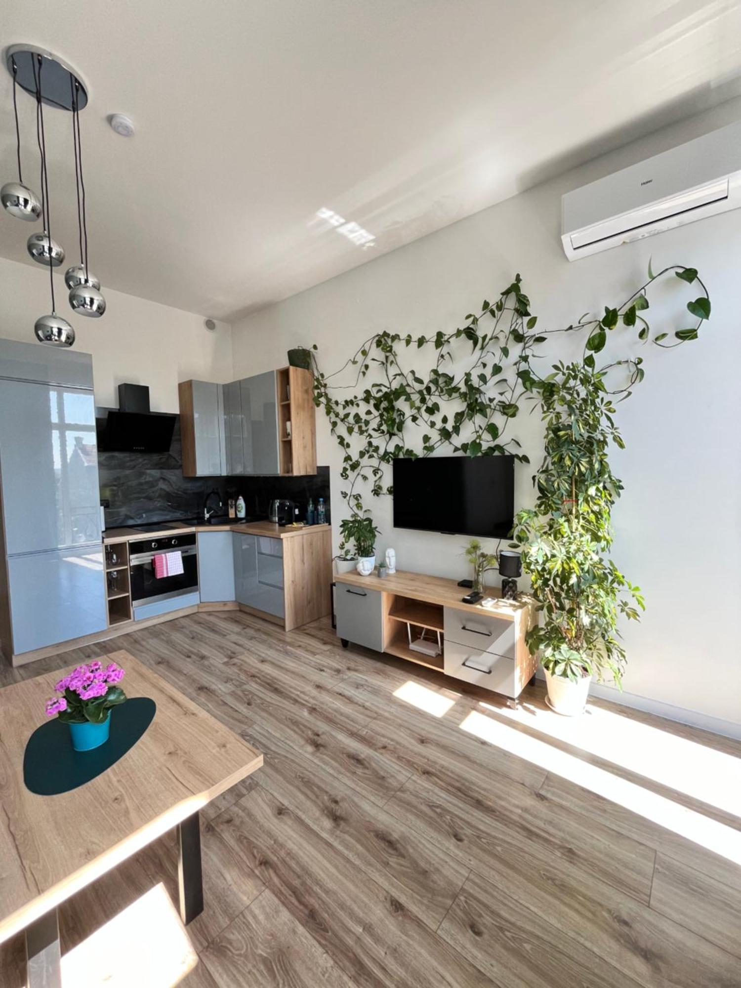 Apartament Green Loft Centrum Grudziądz Zewnętrze zdjęcie